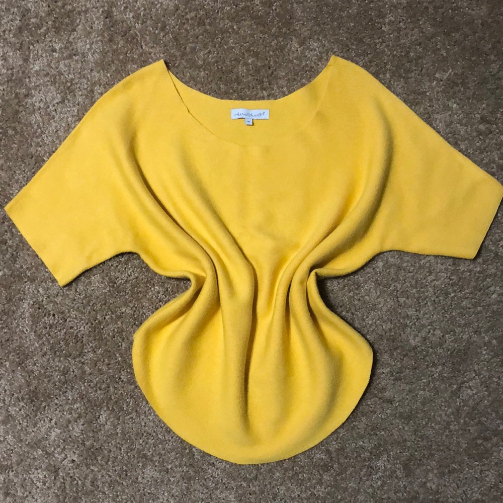 Sweater knit short sleeve boat neck top